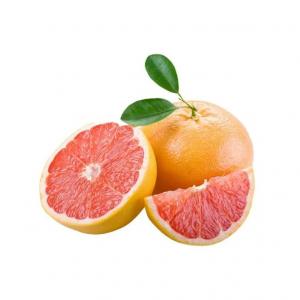 Ulje za masažu 1l Anti Cellulite Wellness Time