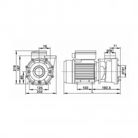 Pumpa za hidromasažu 38m3/h LP300