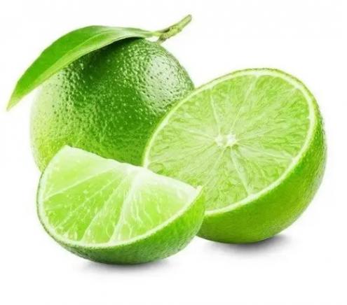 Sauna esencija Citrus 400ml Rento