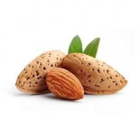 Ulje za masažu 1l Almond oil Wellness Time